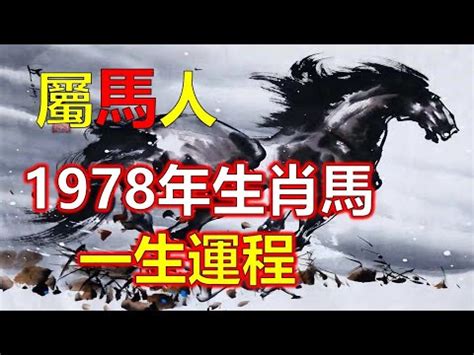 1978屬馬女2023年運勢換工作|屬馬女2023吉凶預測